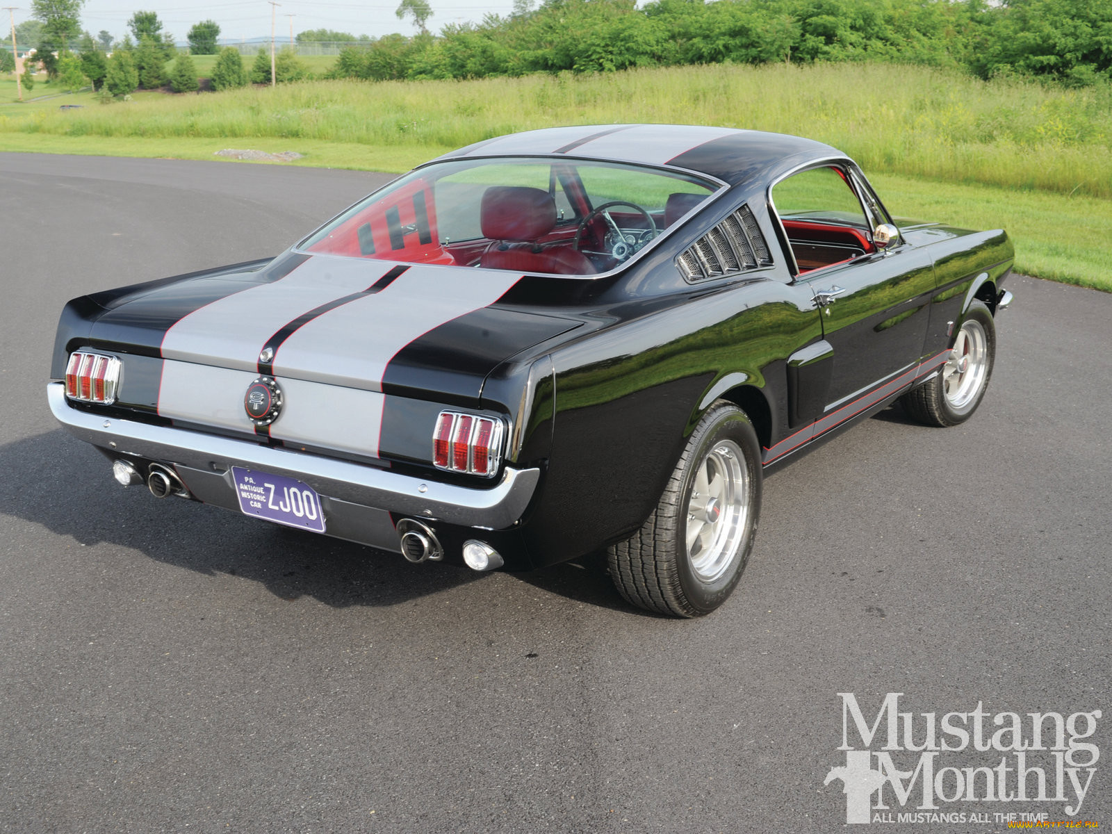 , mustang